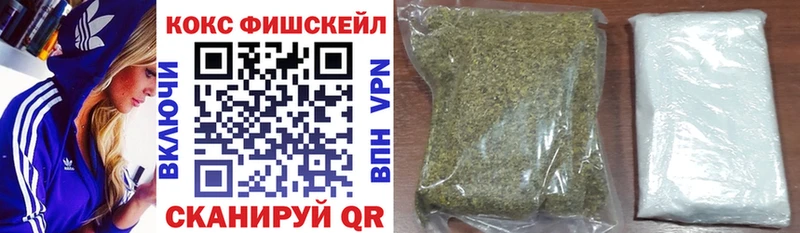 Купить где  Грайворон  Кокаин Fish Scale 
