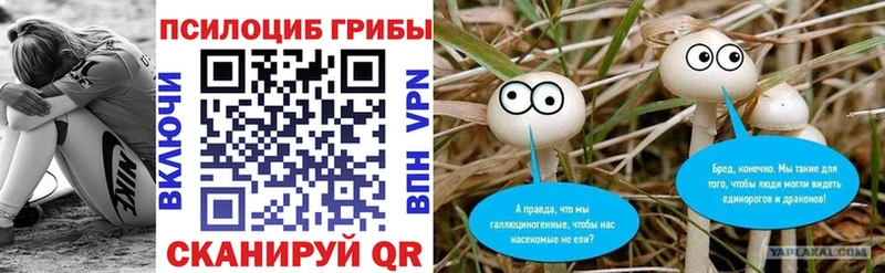 Галлюциногенные грибы MAGIC MUSHROOMS  Купить где  Грайворон 